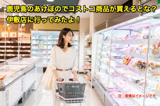 oshima-akebono-costco