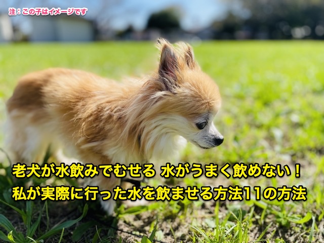 rouken-mizunomasekata