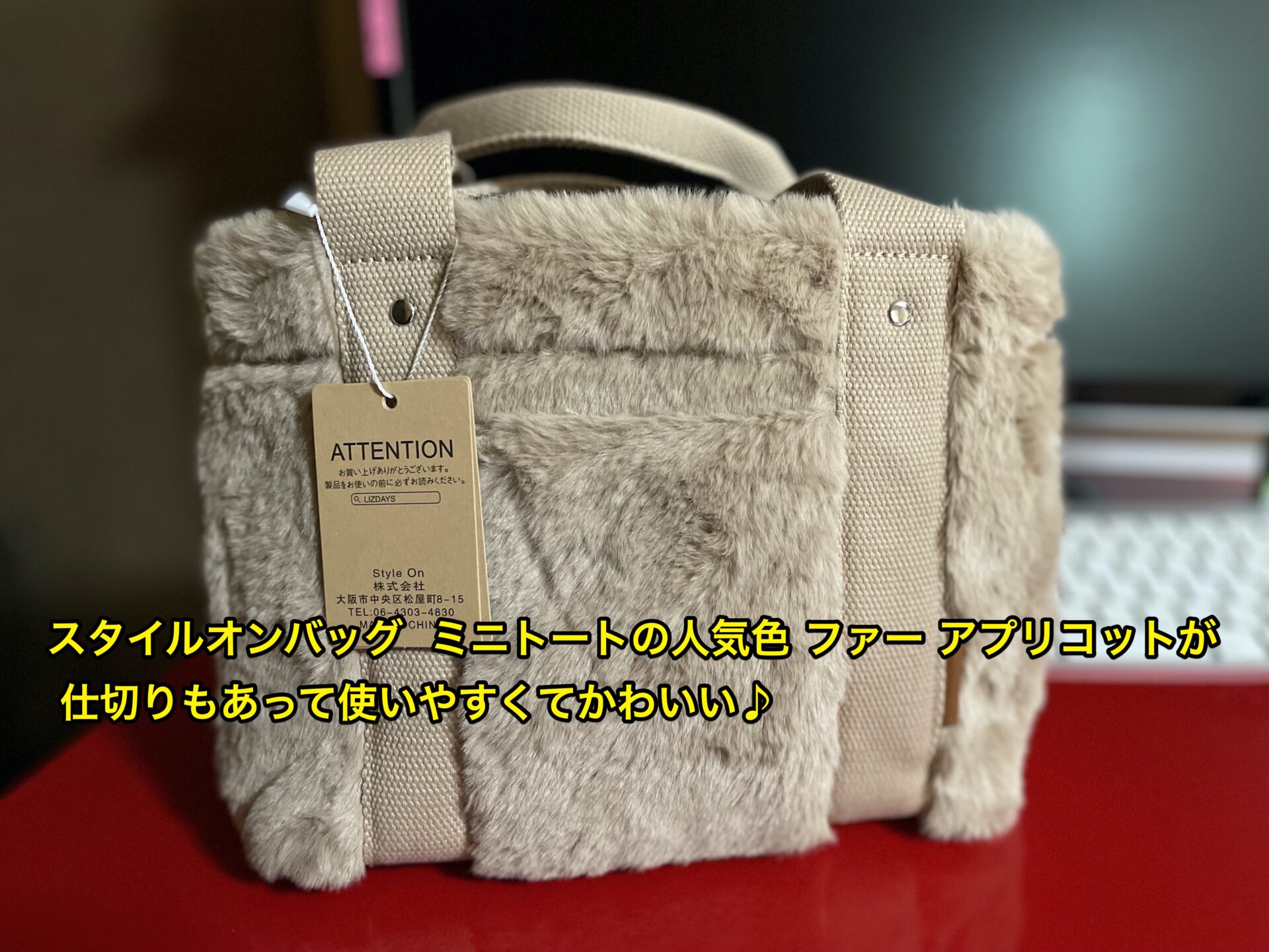 style-on-bag-mini-tote-bag