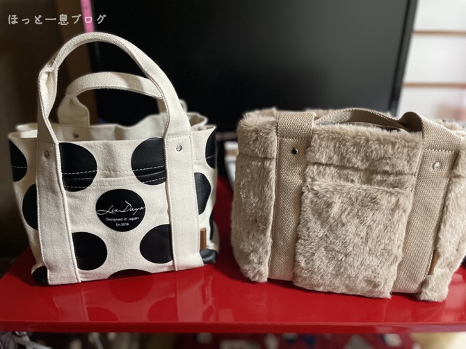 style-on-bag-mini-tote-bag