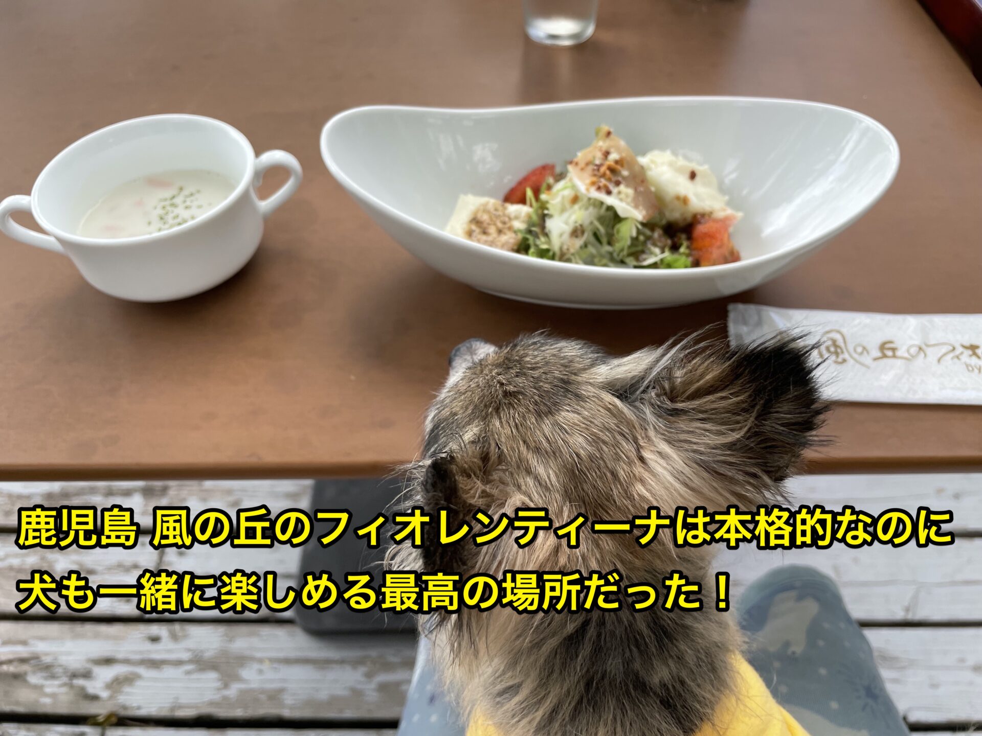 kaze-no-oka-no-fiorentina-with-dog