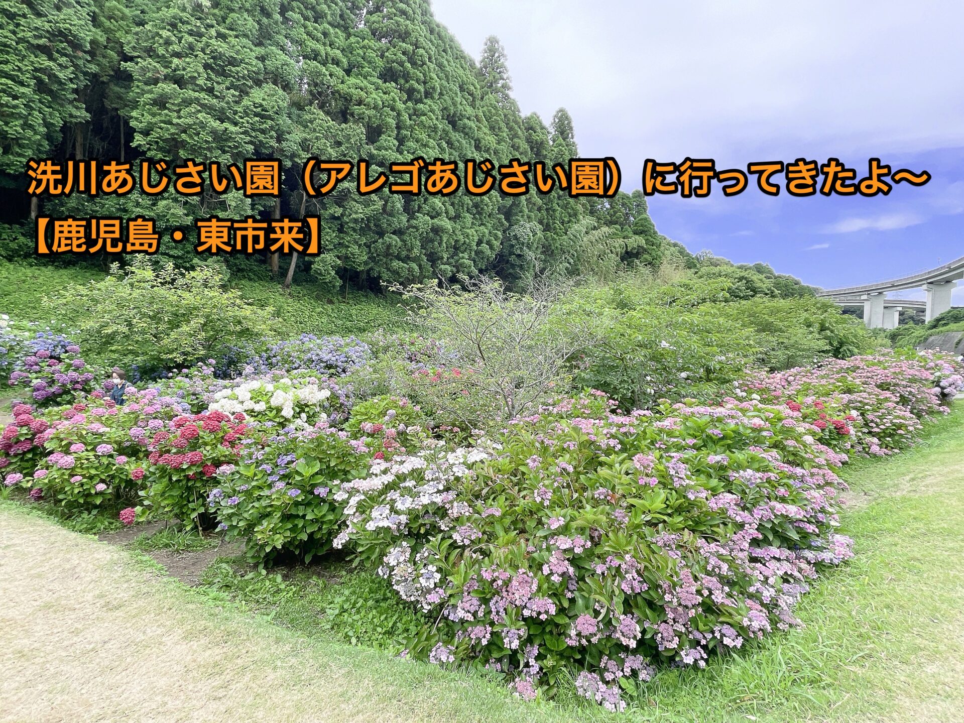 arego-ajisaien-kagoshima