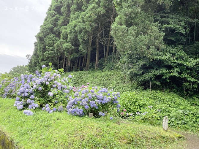 arego-ajisaien-kagoshima