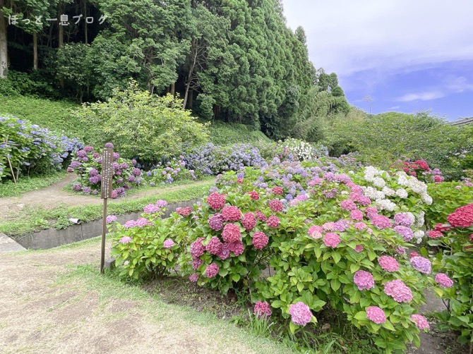 arego-ajisaien-kagoshima