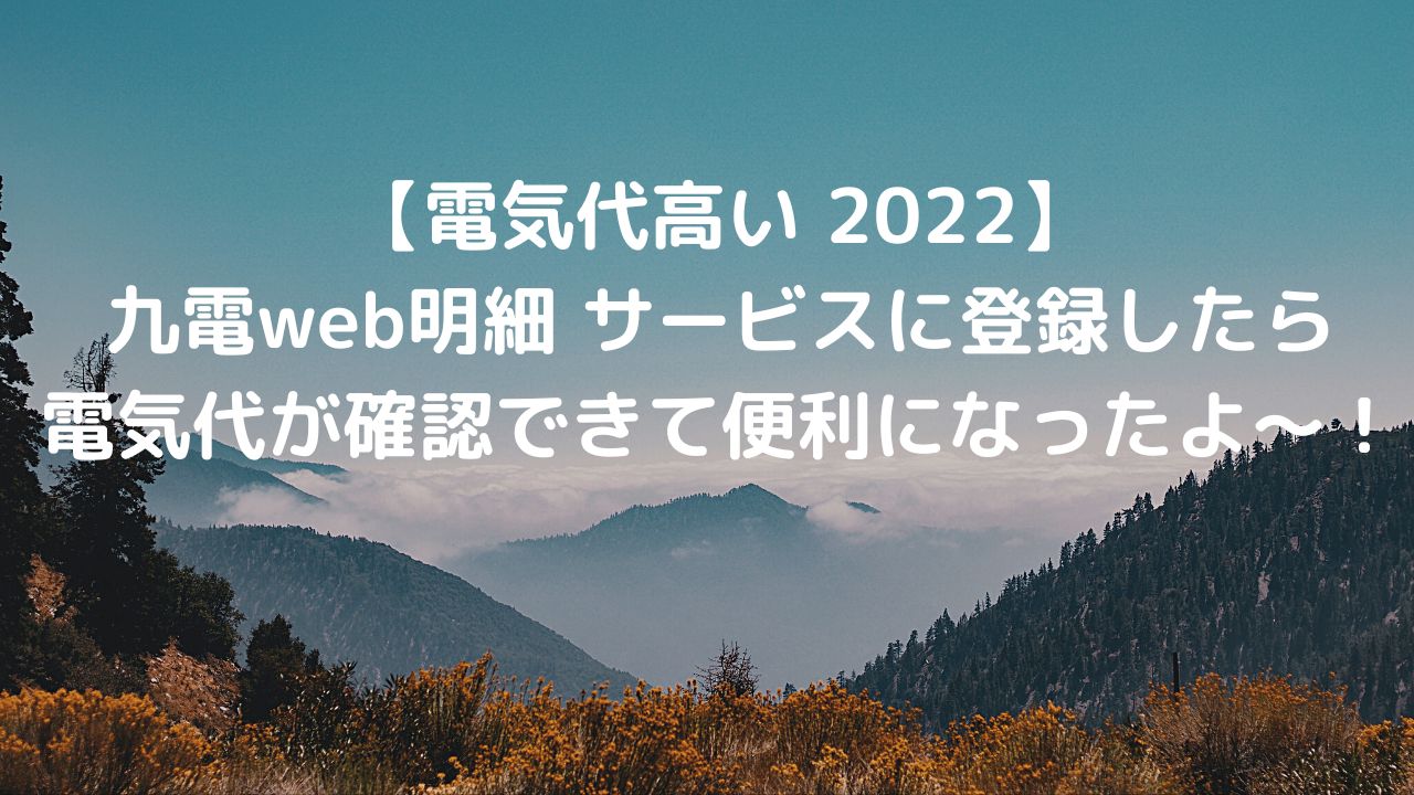 kyuden-web--meisai-service