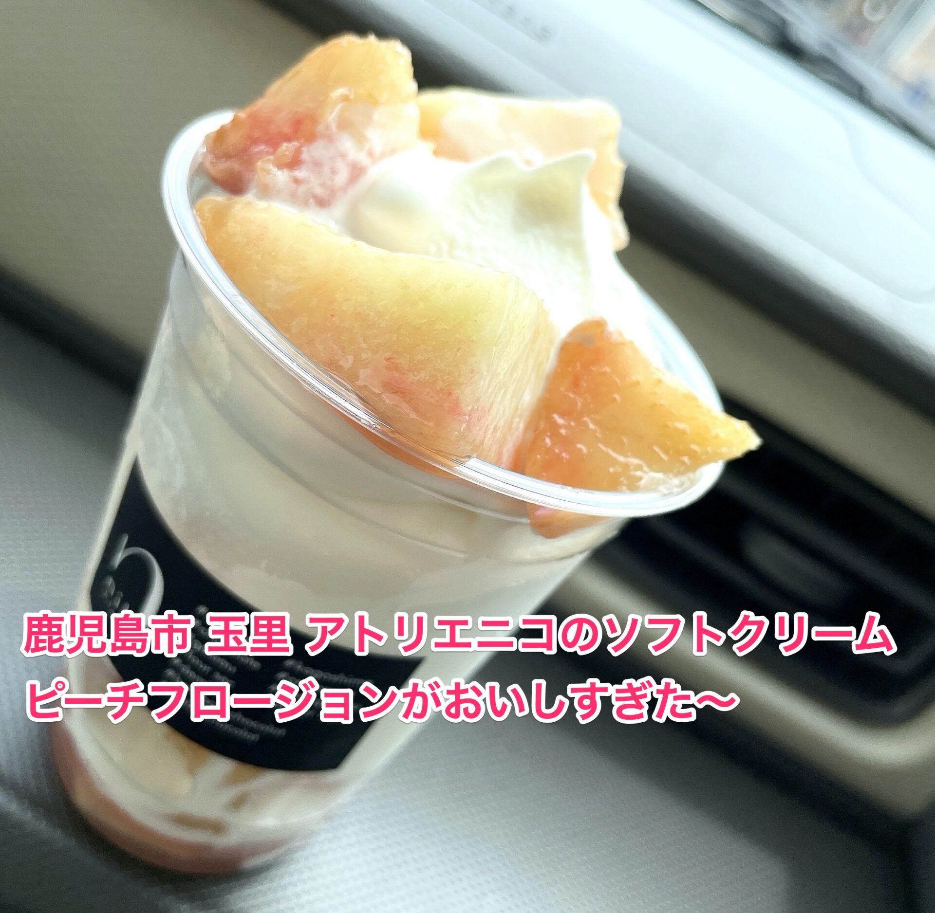 atelier-niko-peach-flowjohn