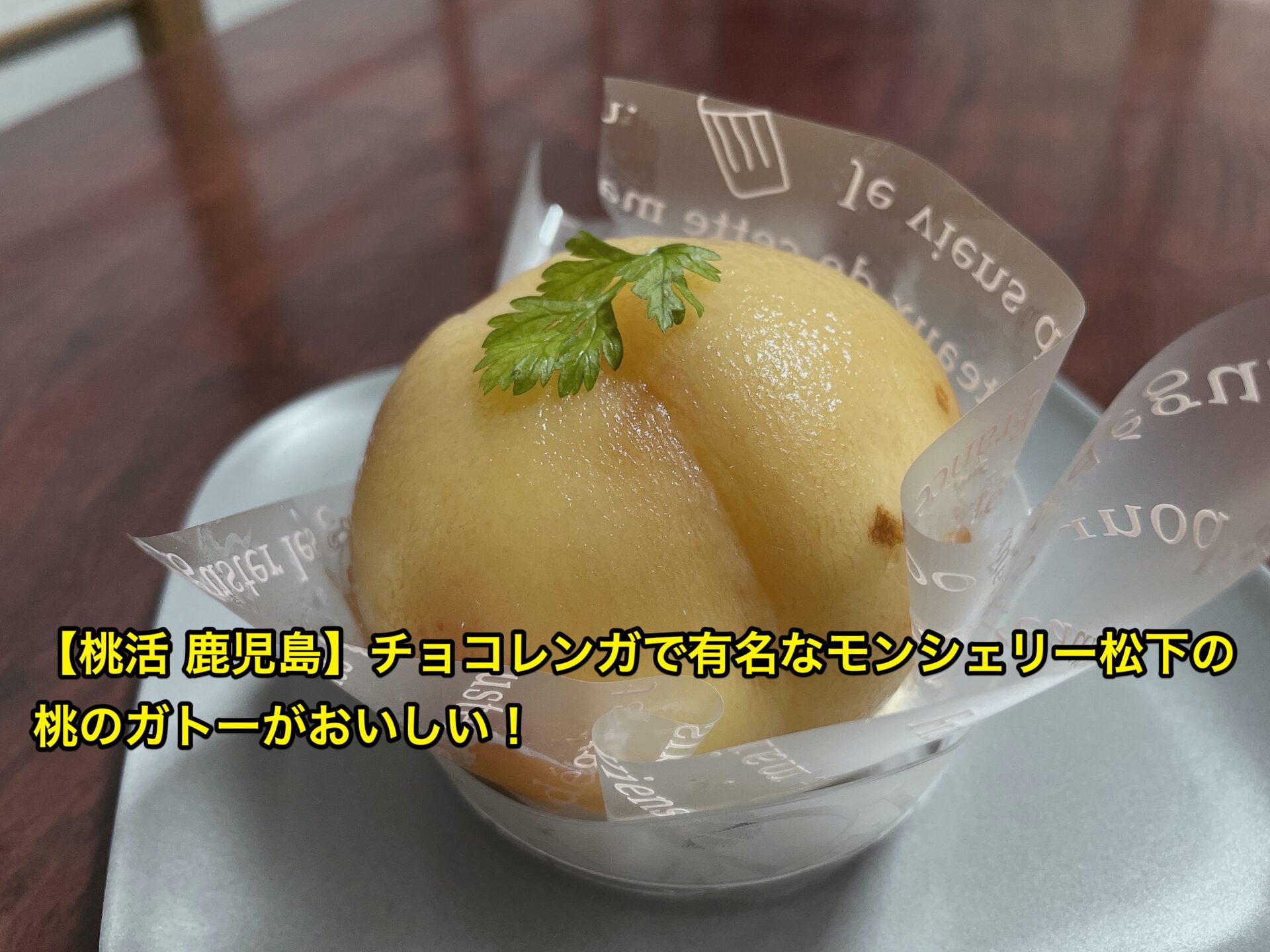 moncheri-matsushita-momokatsu