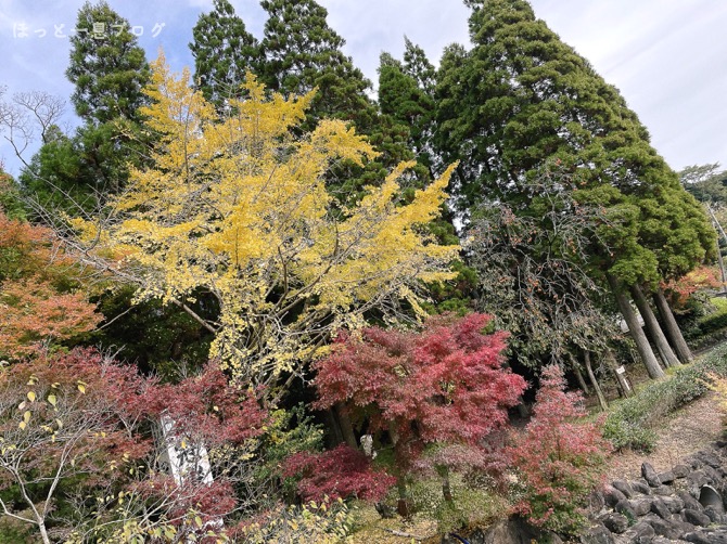 kangakuen-koyo