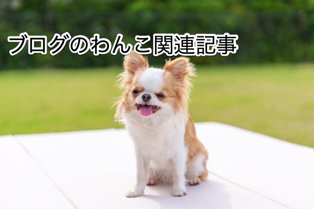 wanko-to-odekake